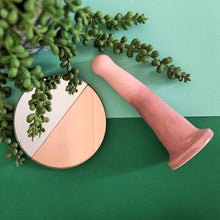 Load image into Gallery viewer, A pink and light purple gradient patterned 5 inch curved ceramic dildo lies on a dark green and teal split coloured background. Dark green tendrils from a pot plant flow around the dildo and onto a small round mirror which is half tinted with copper.